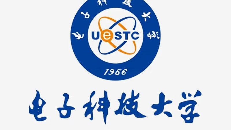 国内芯片制造厂家排名揭秘：十大实力派企业解析