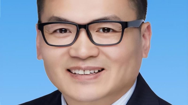 上海二极管批发市场：价格走势背后的行业逻辑